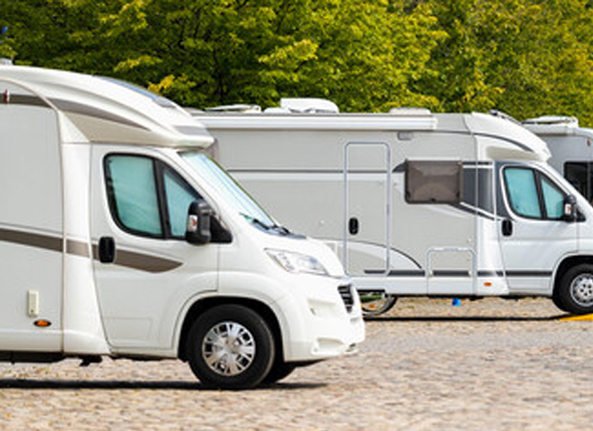Immaculate RV fleet showcasing pristine condition and spotless exteriors.